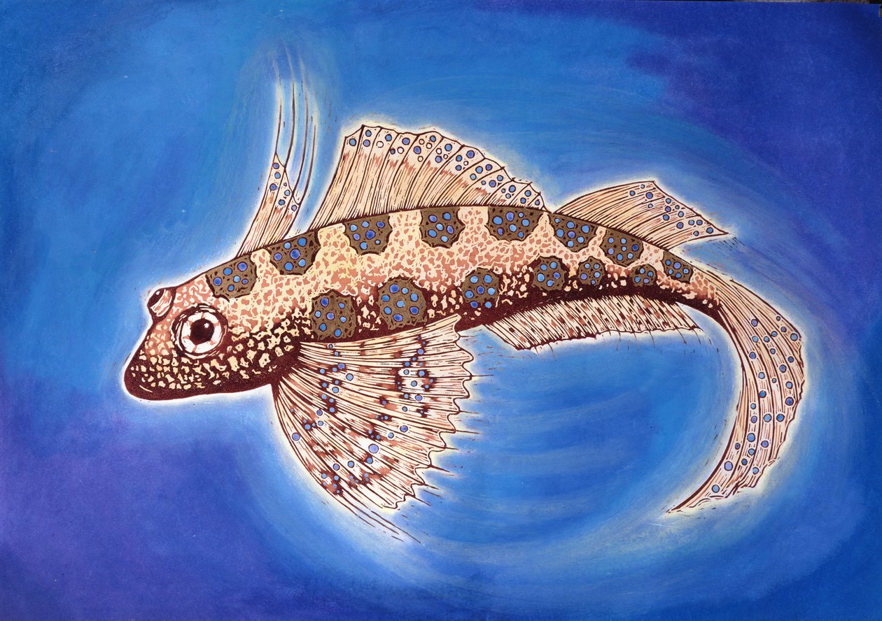 Dragonet Fish, 1999 (fametszet, nyomtatott és vegyes technika) alkotó: Nat Morley
