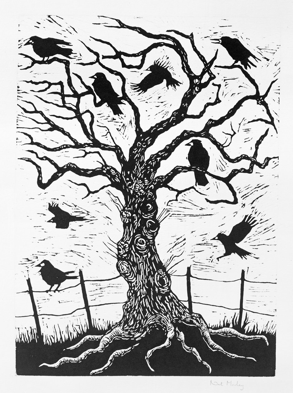 Rook Tree, 1999 alkotó: Nat Morley