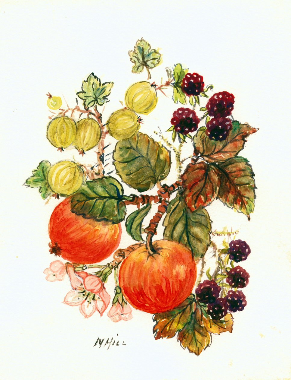 Bramble, alma és szőlő (wc papíron) alkotó: Nell Hill