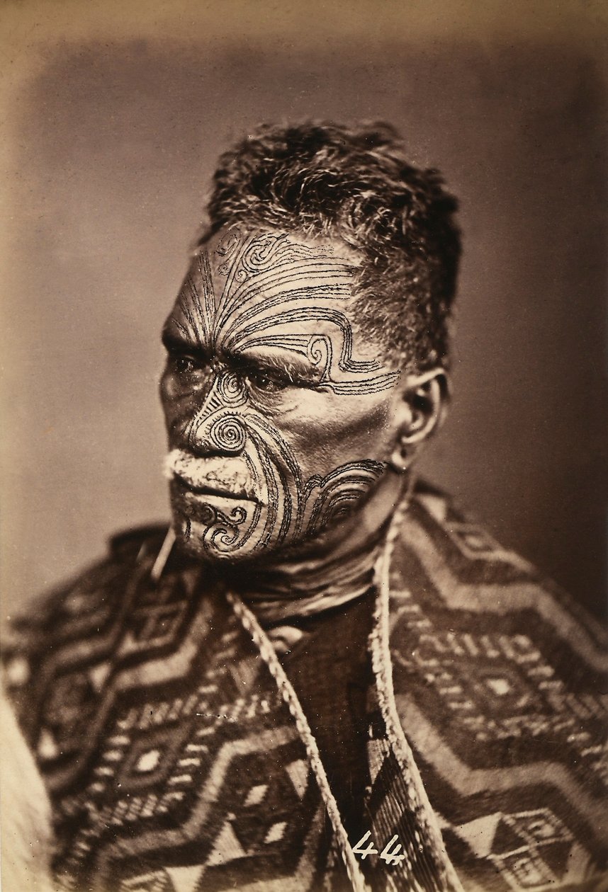 Egy tetovált arcú maori portréja, 1886-88 körül alkotó: New Zealand Photographer