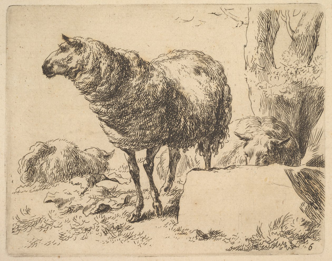 a The Set of Sheep-ből. alkotó: Nicolaes Berchem
