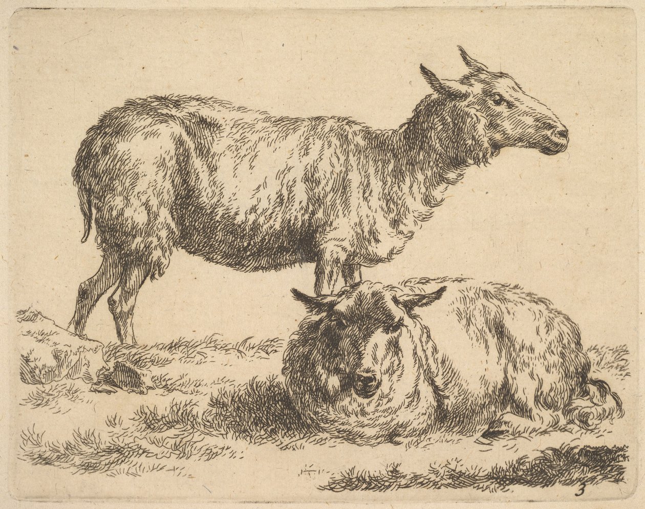 a The Set of Sheep-ből. alkotó: Nicolaes Pietersz. Berchem