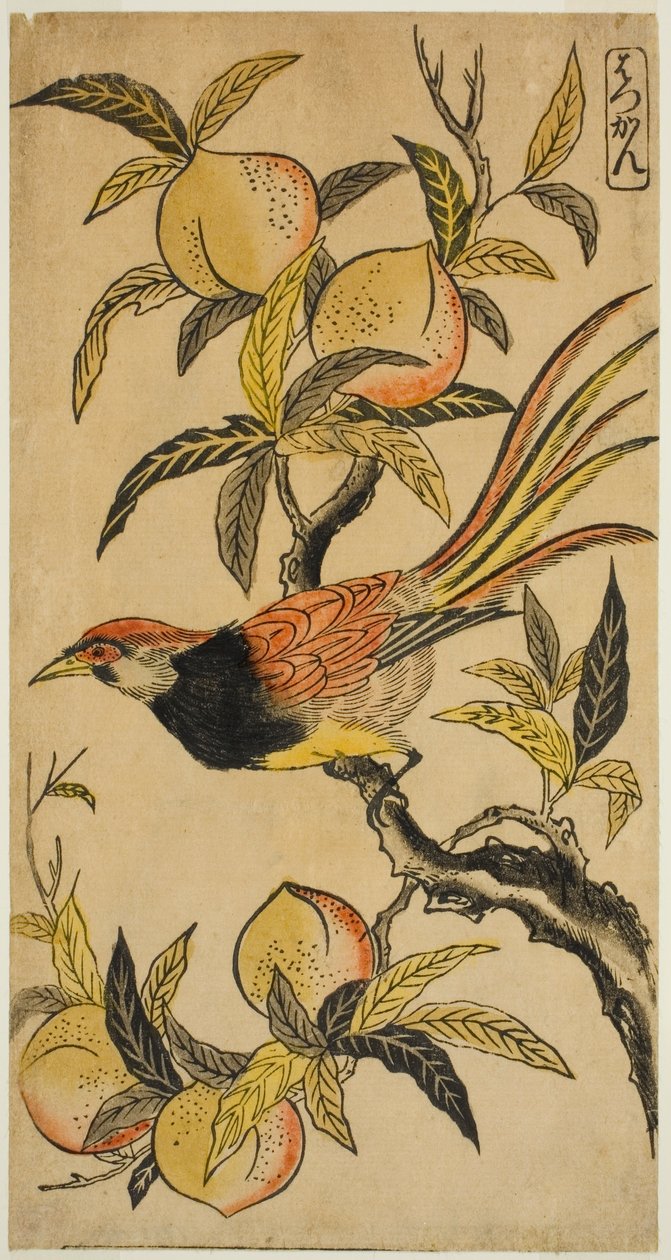 Ezüstfácán (Hakkan) alkotó: Nishimura Shigenaga