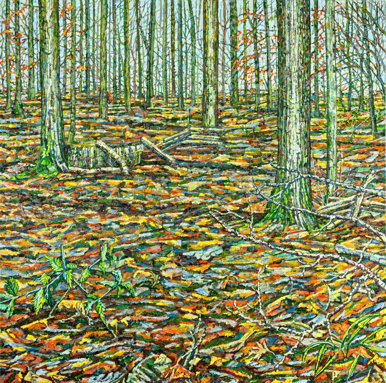 Orches Groundscape, 2023 (olaj, vászon) alkotó: Noel Paine