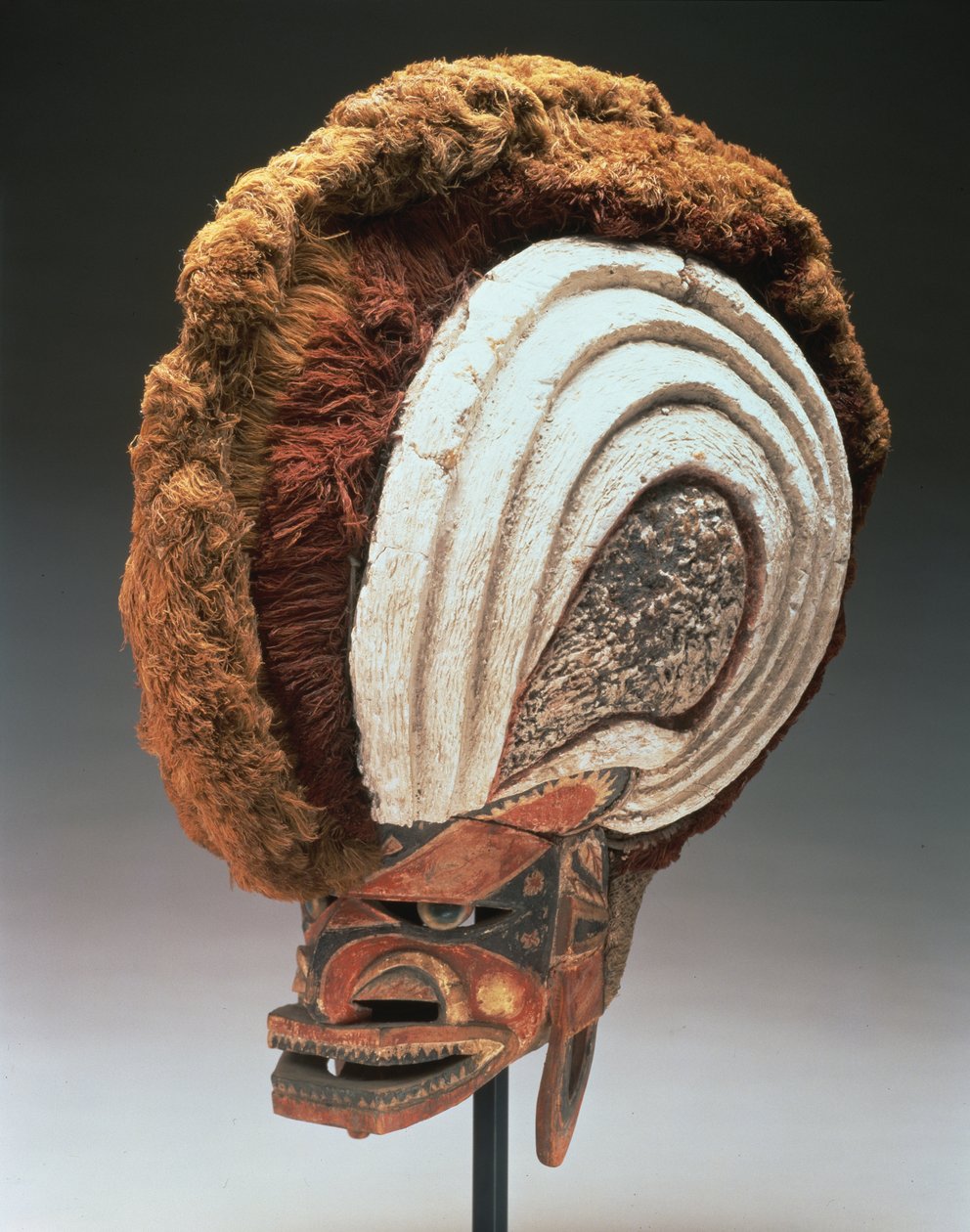 Sisakmaszk (tatanua), Észak-Új-Írország, Pápua Új-Guinea, 1884-95 (fa, festék, operkulahéj, mészvakolat, növényi rost, kéreg, kéregszövet, rattan és zsinór) (lásd még: 169883) alkotó: Oceanic