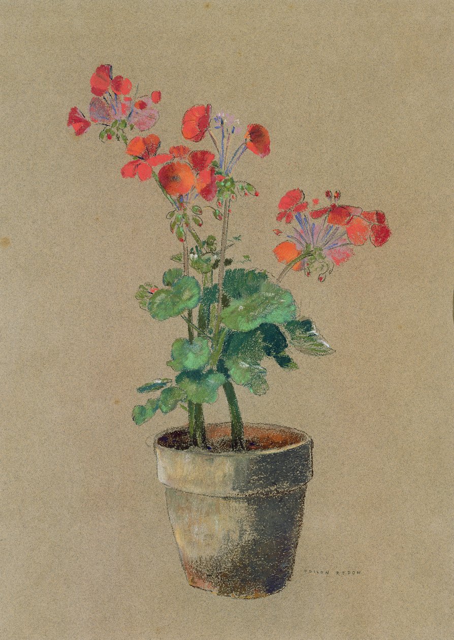 Muskátlik cserépben (pasztell) alkotó: Odilon Redon