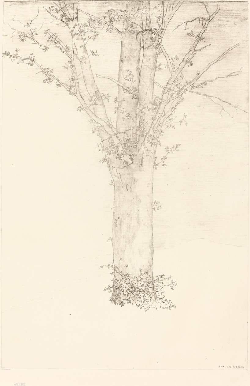 Fa alkotó: Odilon Redon