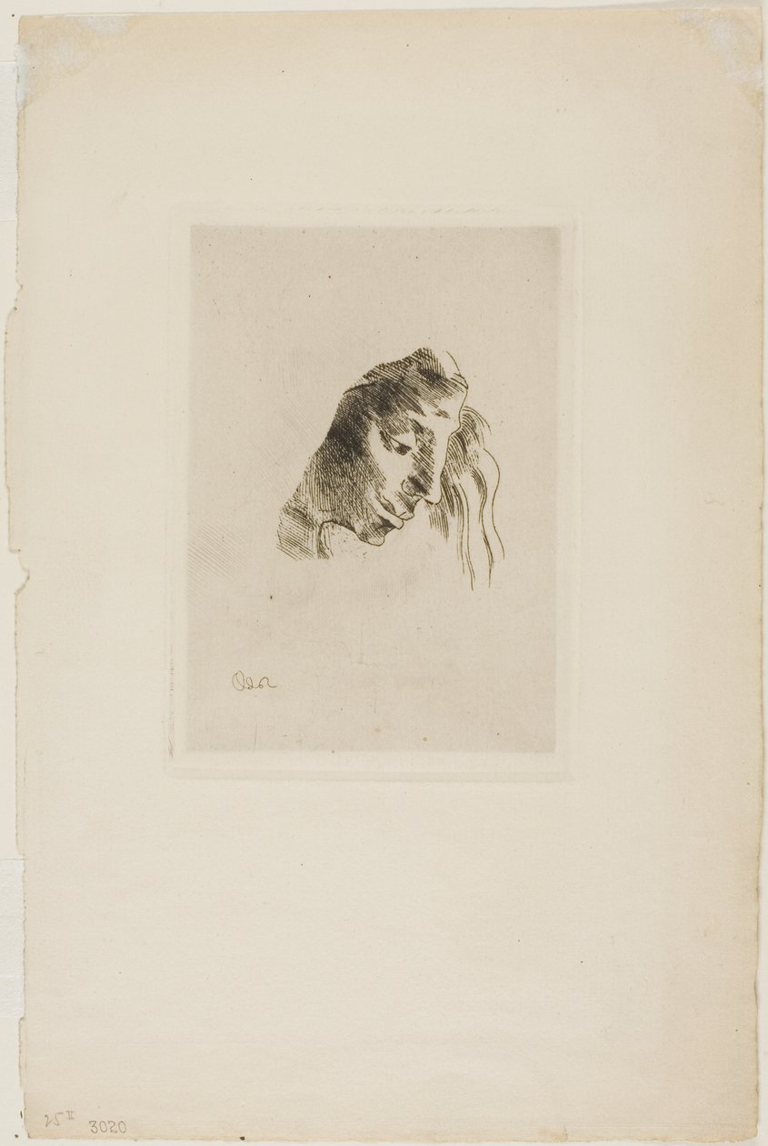 A könyvekből alkotó: Odilon Redon