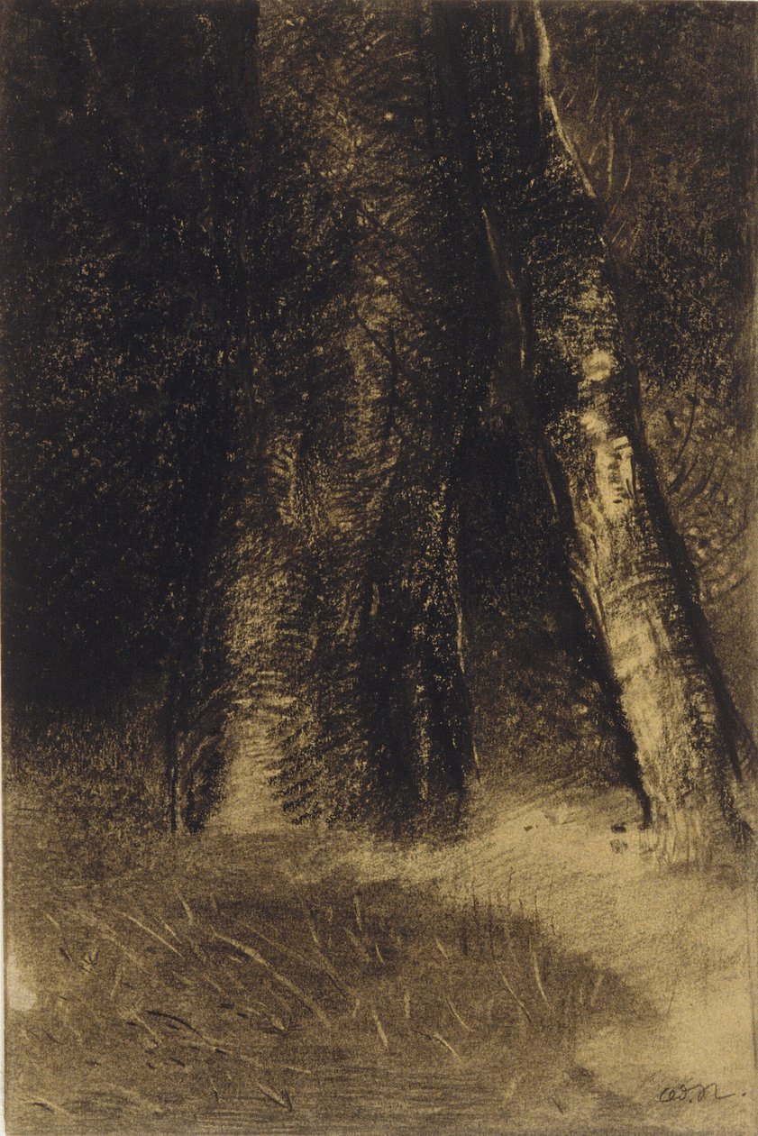 Fák vázlata alkotó: Odilon Redon