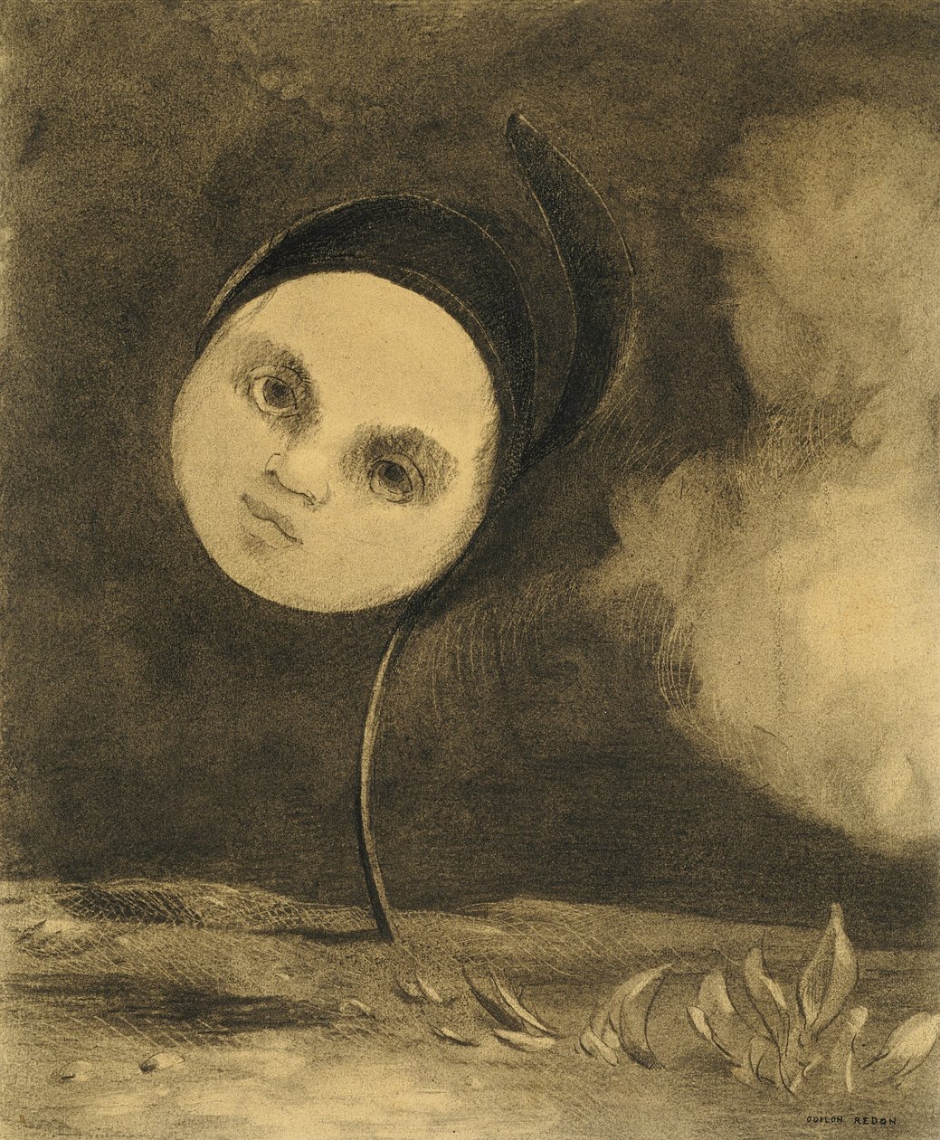 Furcsa Virág alkotó: Odilon Redon