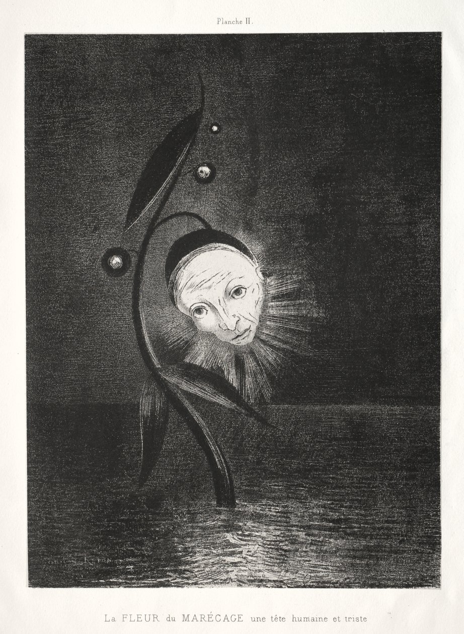 A mocsári virág, egy szomorú emberi fej alkotó: Odilon Redon