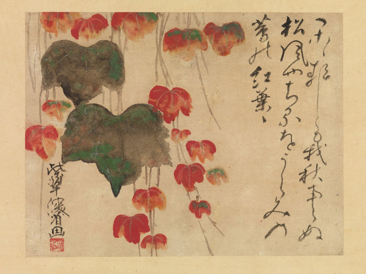 Őszi borostyán (tinta, szín és arany papíron) 1732 után alkotó: Ogata Kenzan