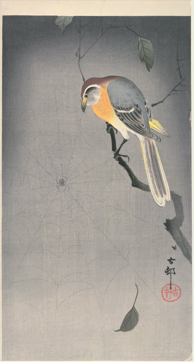 Madár egy ágon pókot néz, c. 1900 eleje (színes fatömbnyomat) alkotó: Ohara Koson