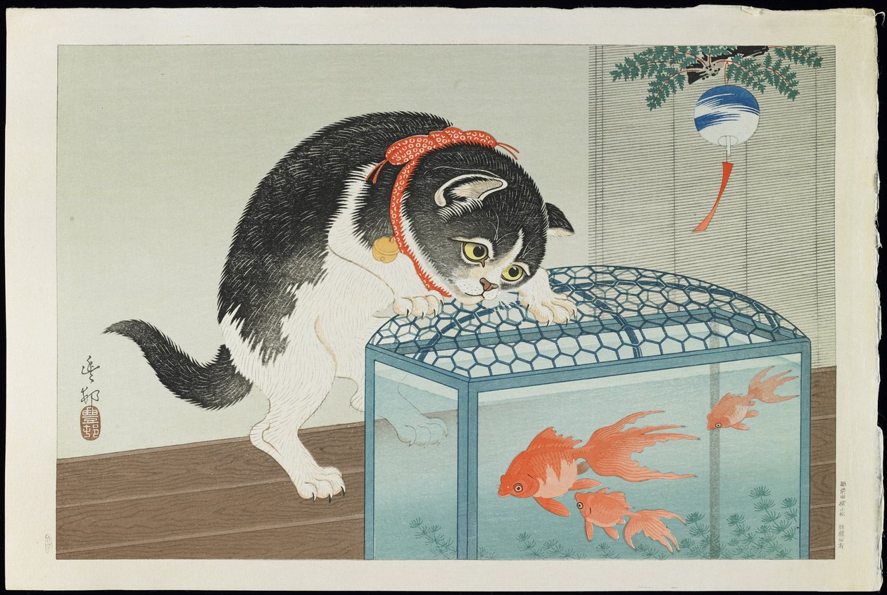 Macska és aranyhal, 1930-as évek (színes fametszet) alkotó: Ohara Koson
