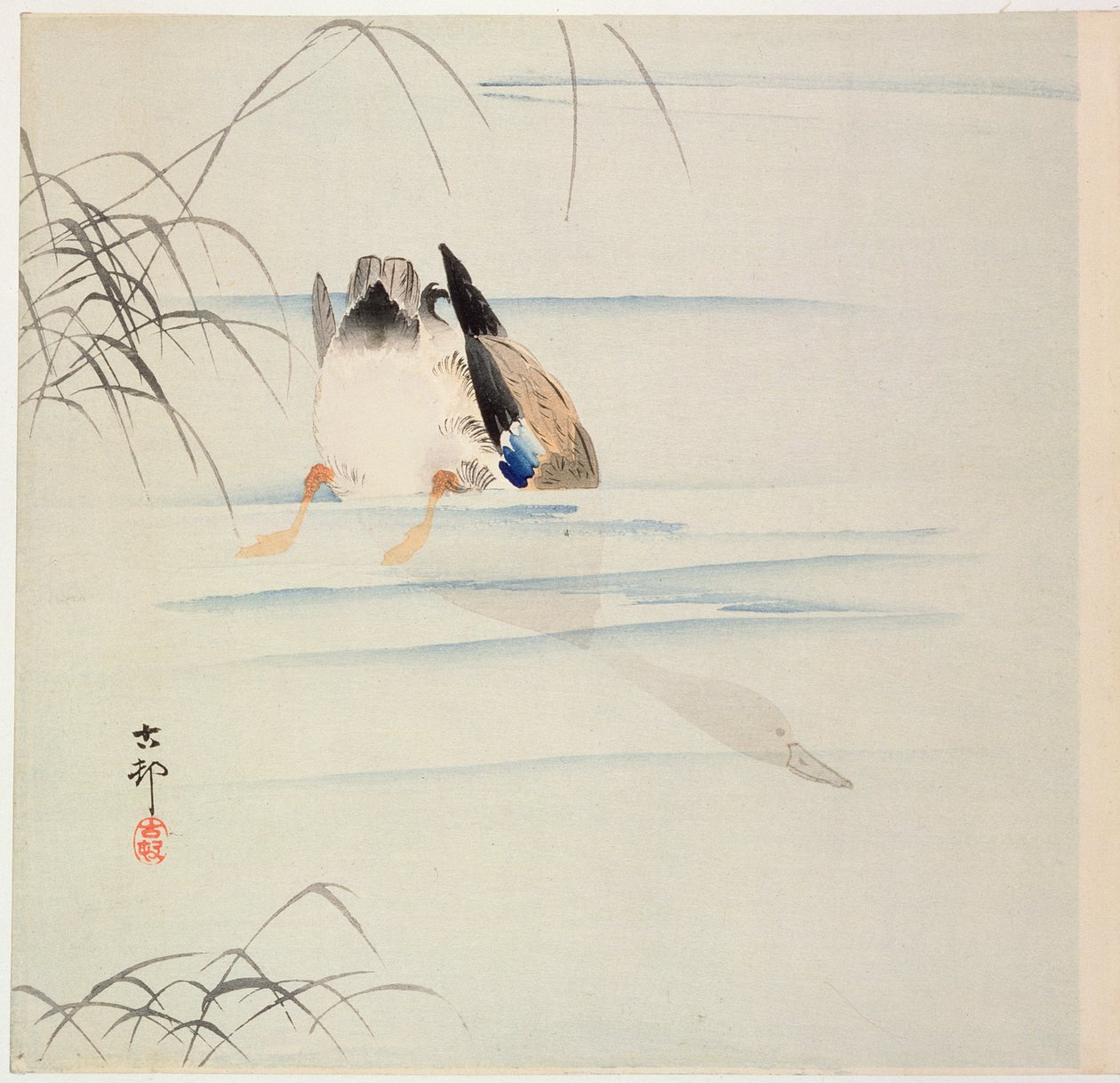 Kacsabúvárkodás, c. 1900-as évek eleje (színes fatömbnyomat) alkotó: Ohara Koson