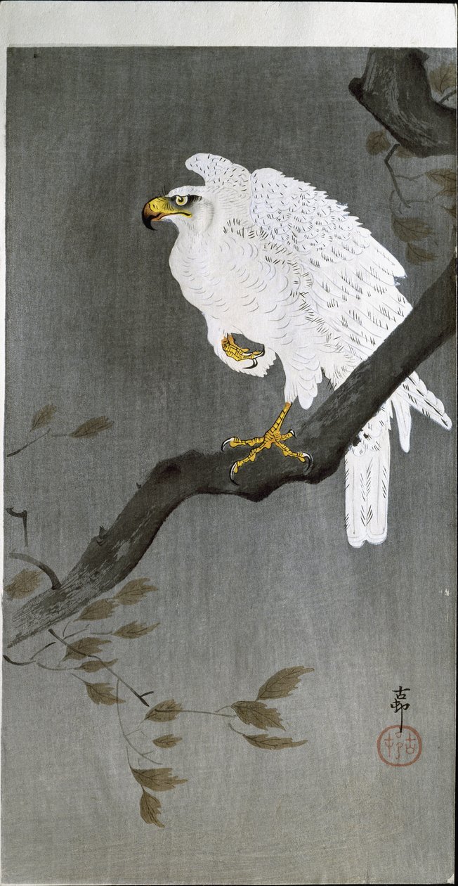 Sólyom ágon, 1907 alkotó: Ohara Koson