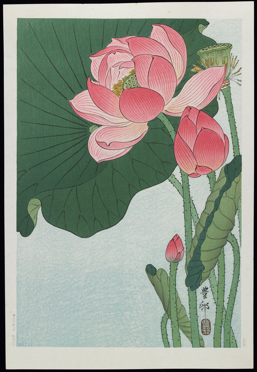 Lotus, 1930-as évek alkotó: Ohara Koson