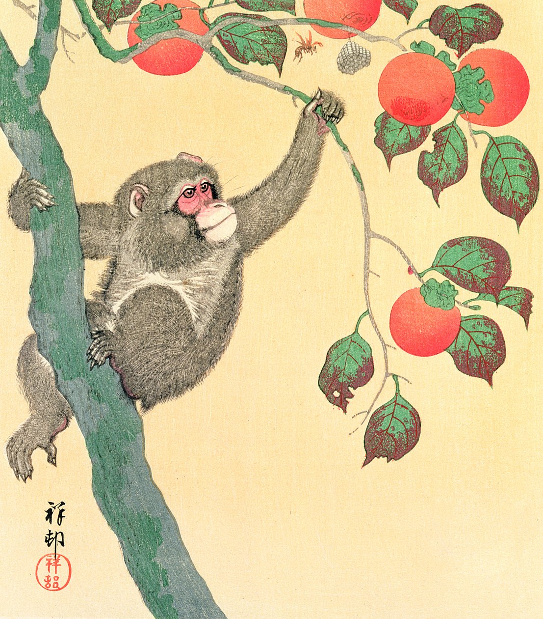 Majom datolyaszilva fában, 1935 (fatömb színes nyomat) alkotó: Ohara Koson