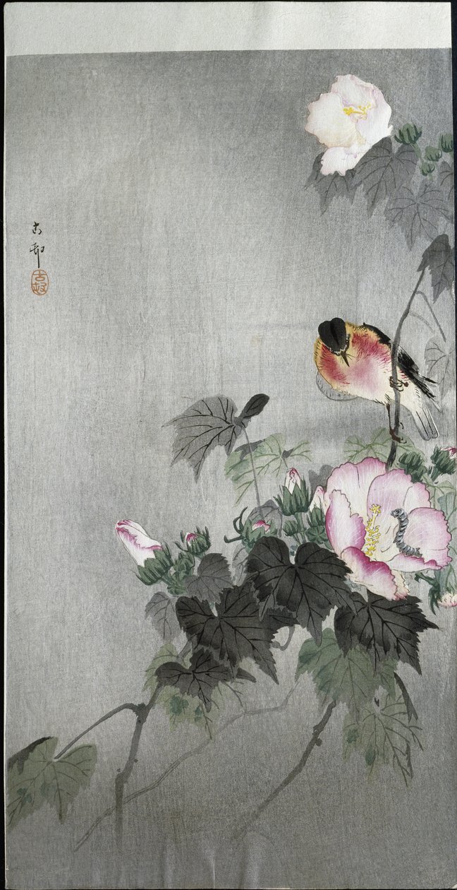Kőhal és virágzó virág, 1907 alkotó: Ohara Koson