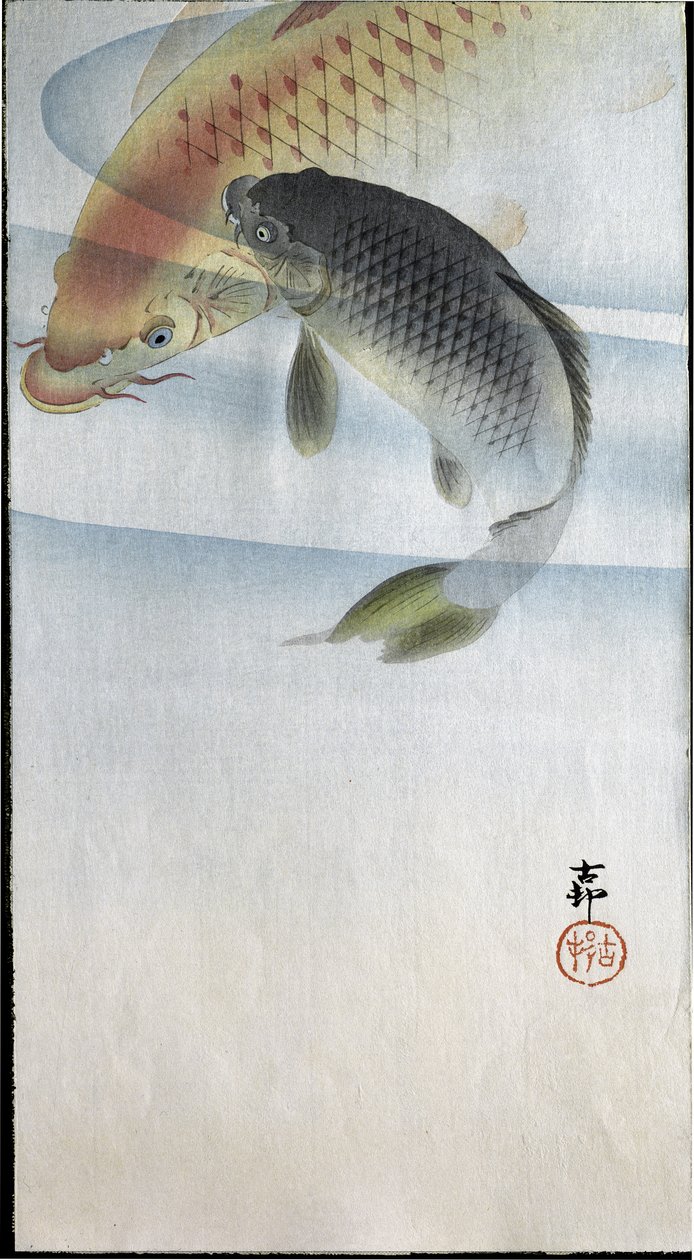 Két ponty a folyóban, 1907 alkotó: Ohara Koson