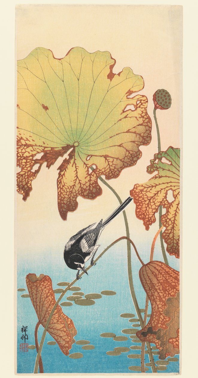 Wagtail and Lotus, 1915 körül (fanyomat) alkotó: Ohara Koson