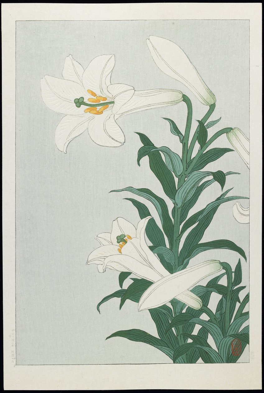 Fehér liliom, 1930-as évek (színes fatömb nyomat) alkotó: Ohara Koson