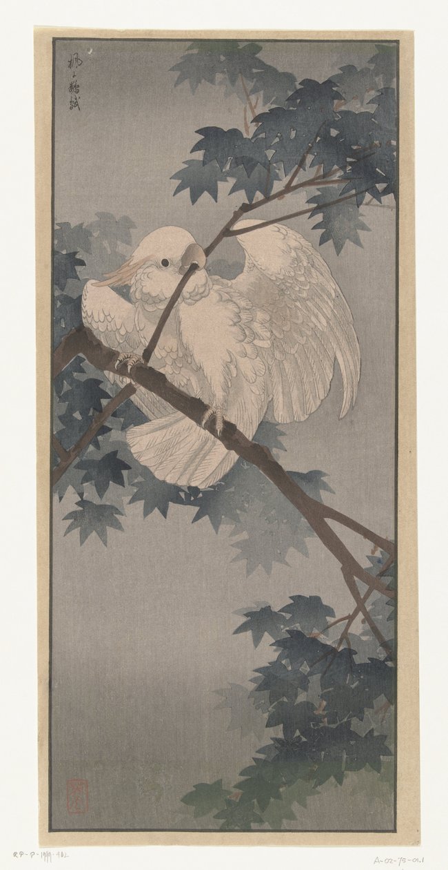 Sárga tarajos kakadu a fán alkotó: Ohara Koson (attributed to)