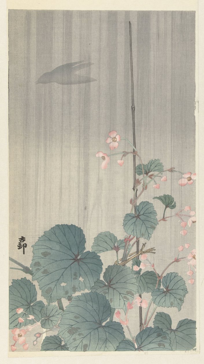 Begónia esőben alkotó: Ohara Koson