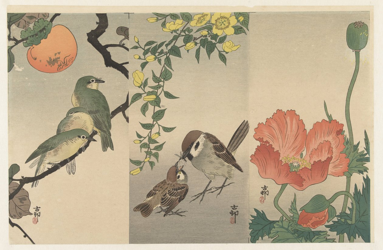 Birds and Plants alkotó: Ohara Koson