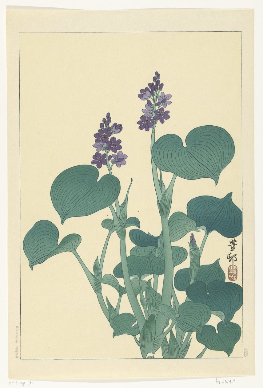 Virágzó hosta alkotó: Ohara Koson