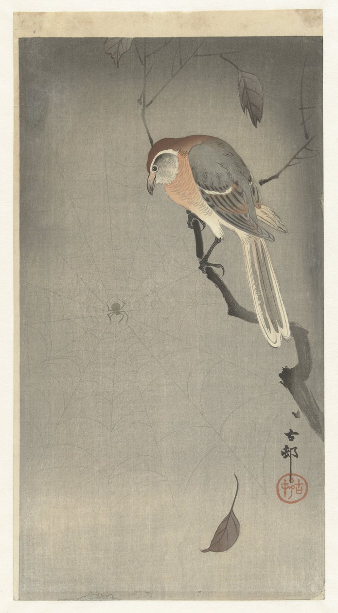 Bivalyfejű sikló és pók alkotó: Ohara Koson