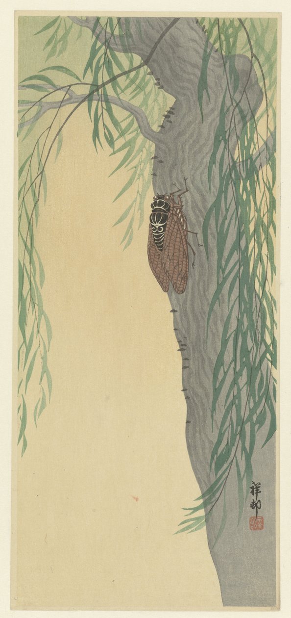 Kabóca a fán alkotó: Ohara Koson