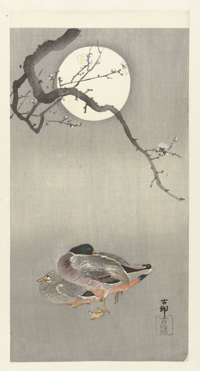 Kacsák teliholdkor alkotó: Ohara Koson