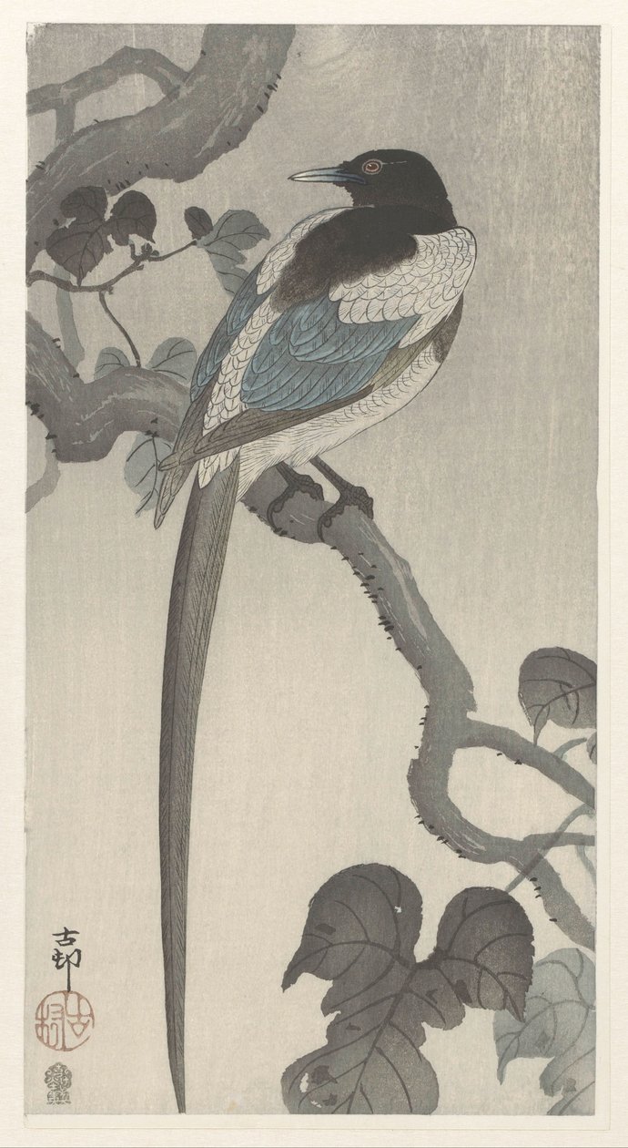 Szarka a fa ágán alkotó: Ohara Koson