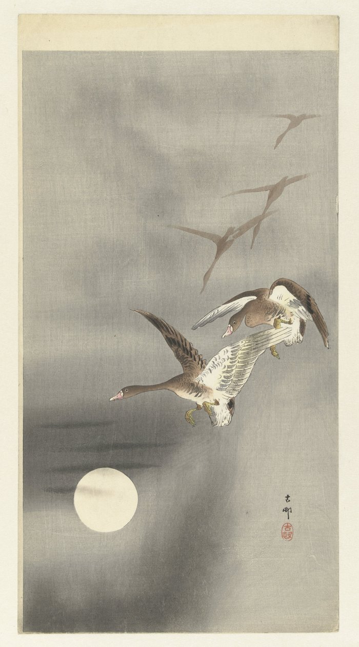 Liba repülés közben alkotó: Ohara Koson