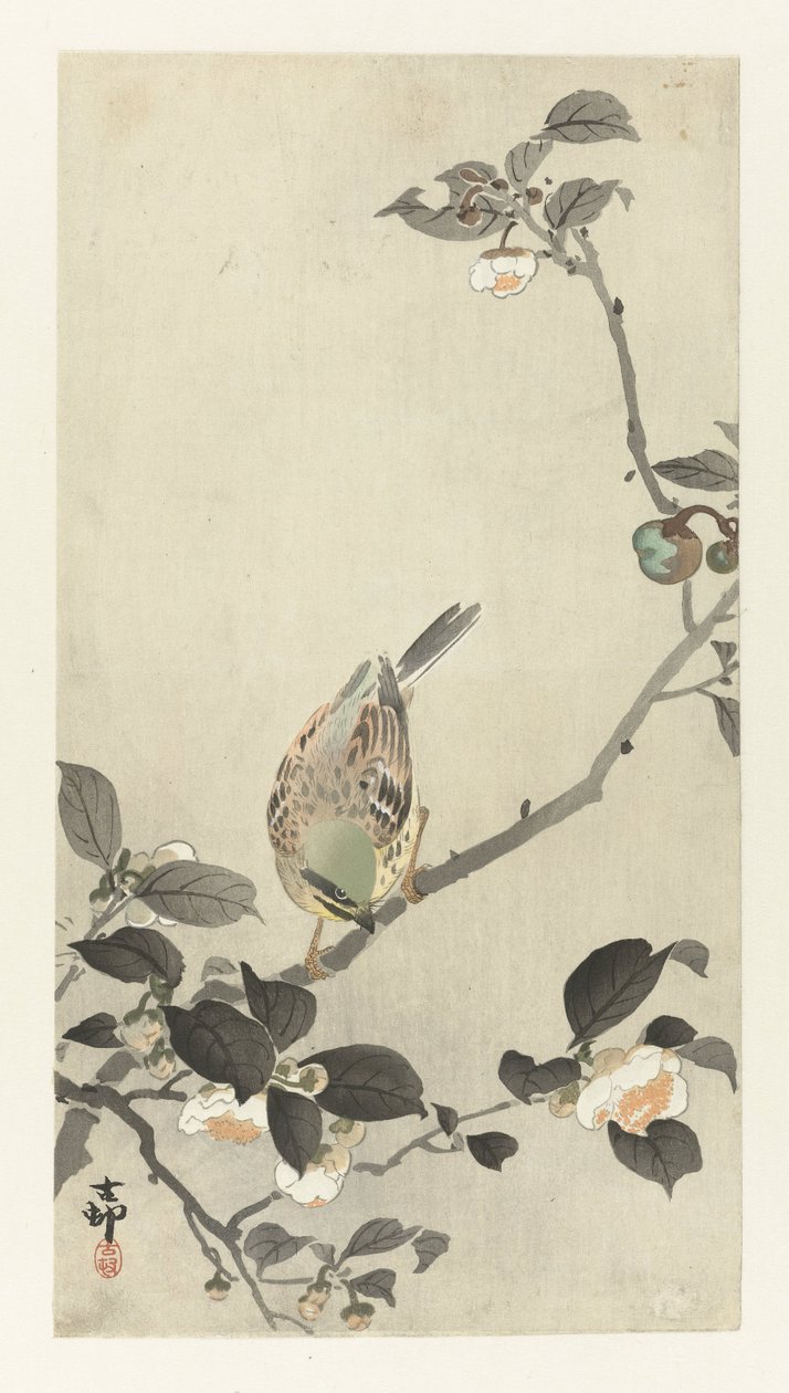 Sármány virágágon alkotó: Ohara Koson