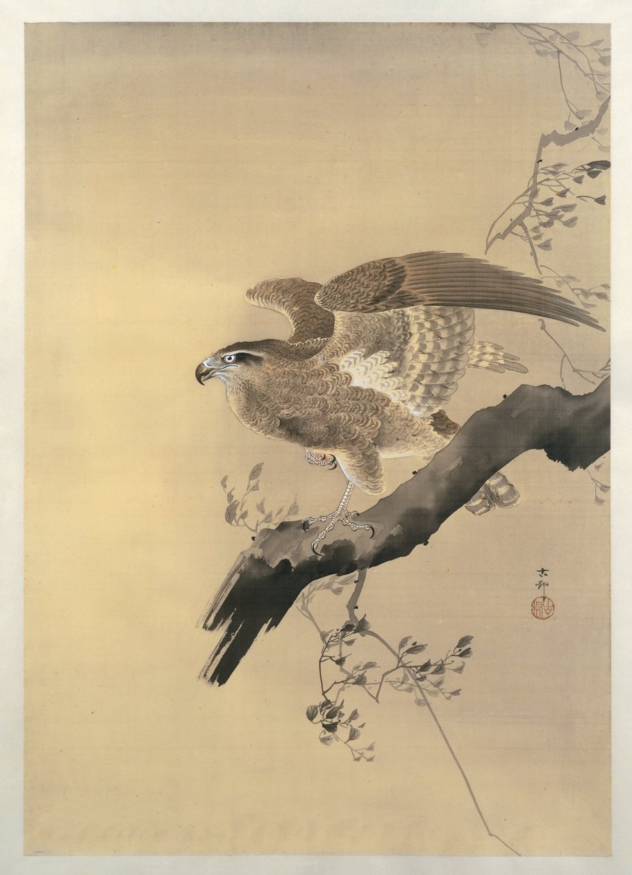 Sólyom alkotó: Ohara Koson
