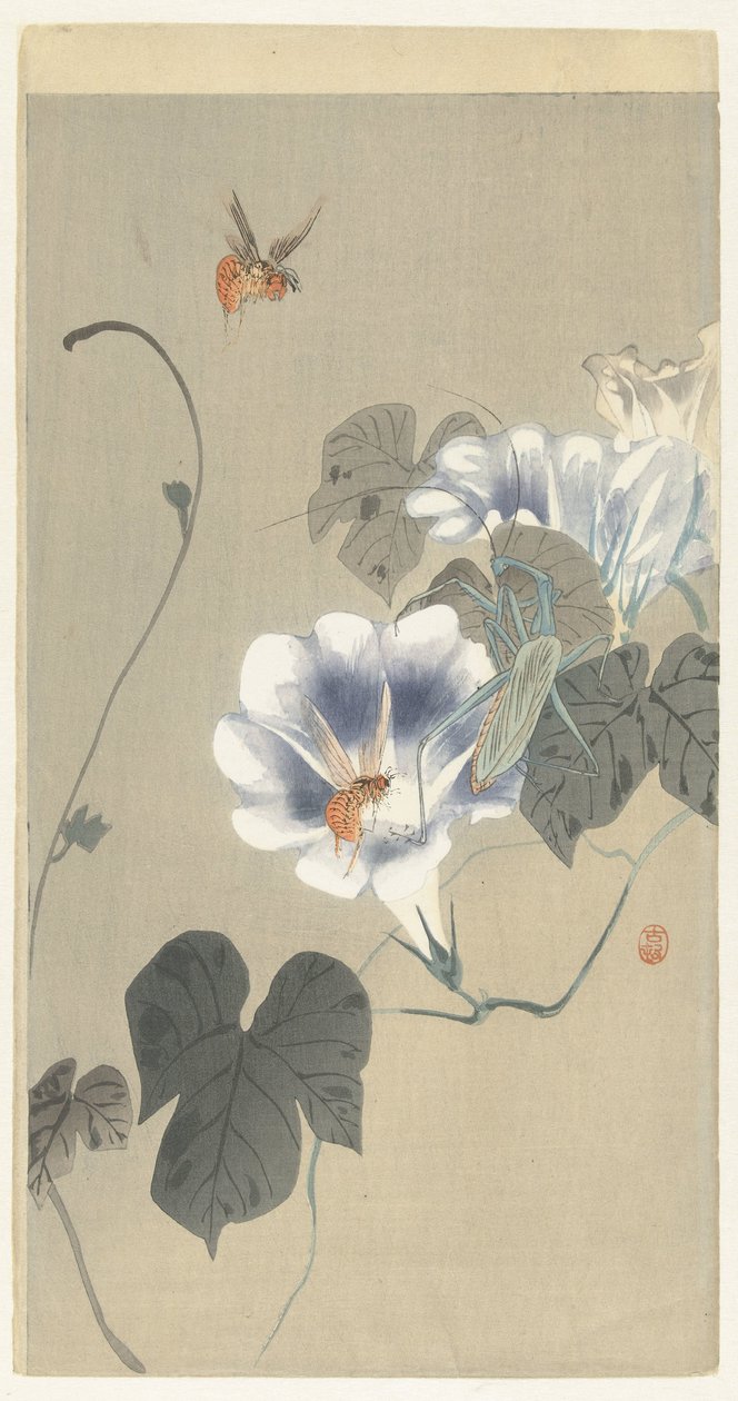 Rovarok a szálfűben alkotó: Ohara Koson