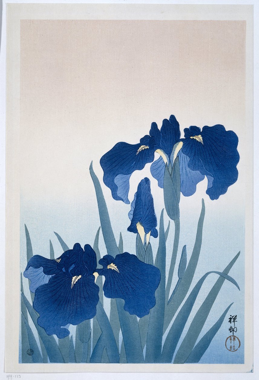 Íriszek, 1925-36 (fanyomat) alkotó: Ohara Koson