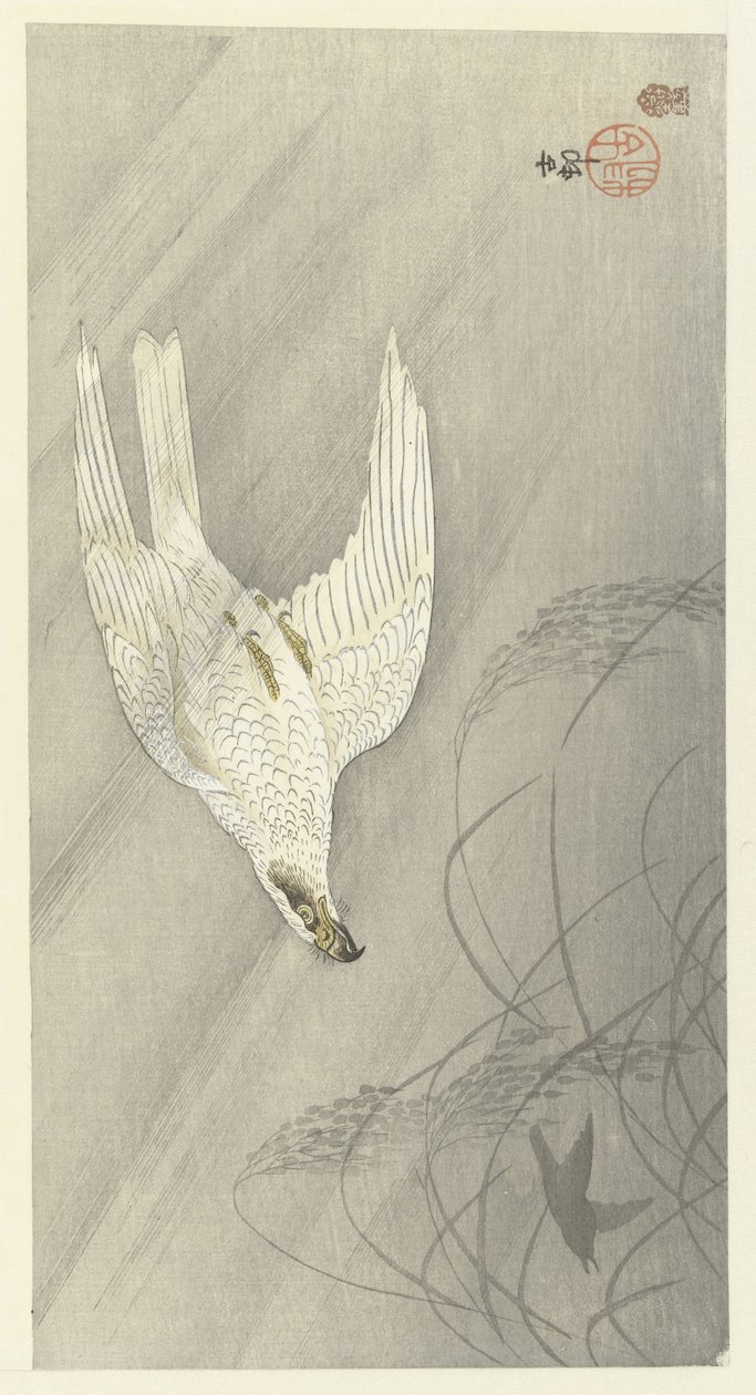 Vadász sólyom alkotó: Ohara Koson