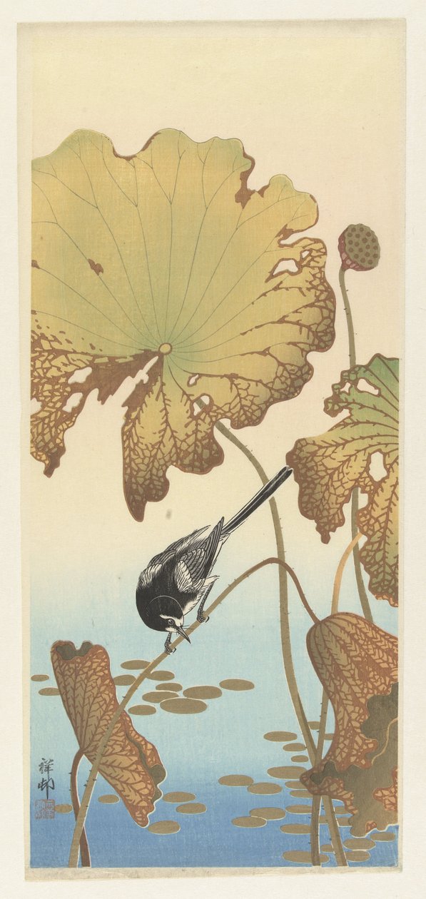Japán wagtail lótusznövényen alkotó: Ohara Koson