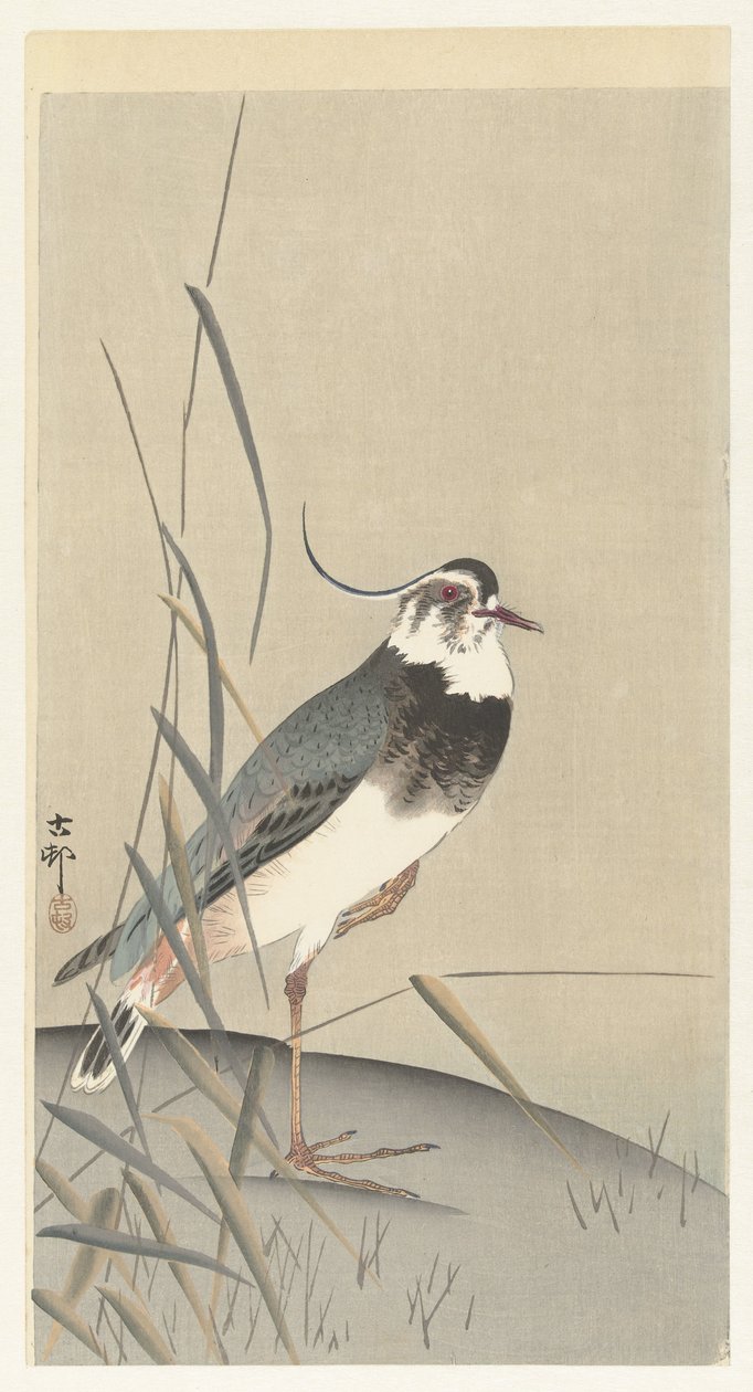 Cica és nád alkotó: Ohara Koson