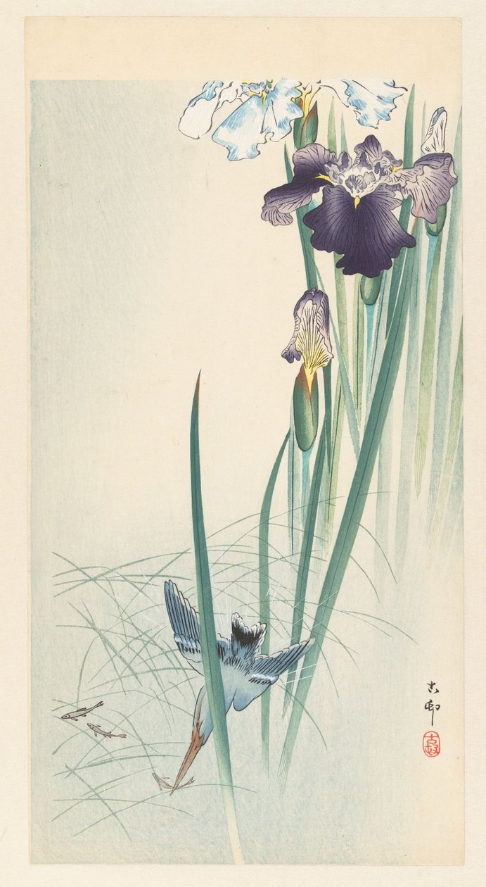 Jégmadár és íriszek alkotó: Ohara Koson