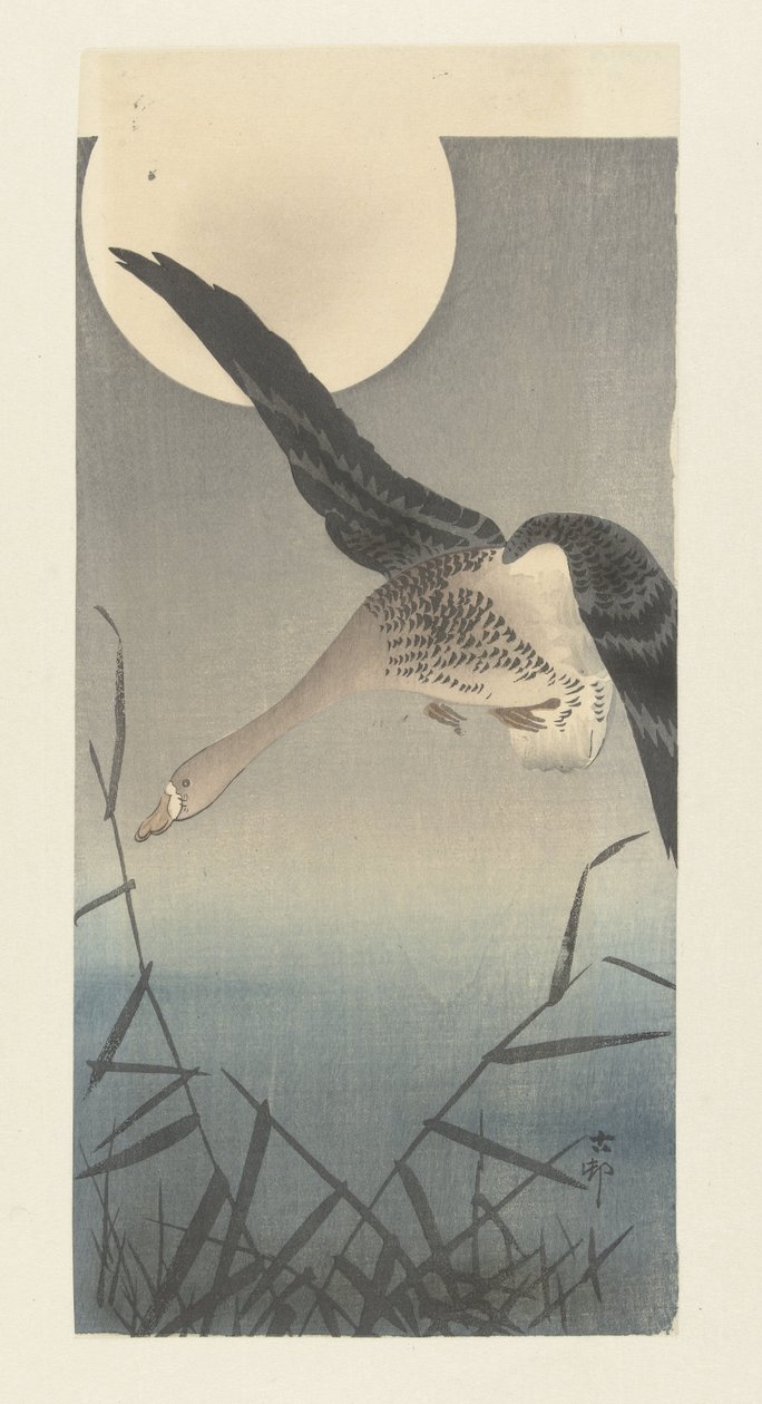 Fehérhomlokú liba teliholdkor alkotó: Ohara Koson