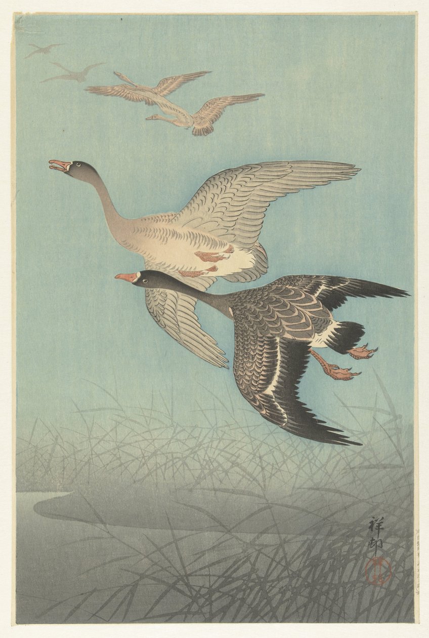 Fehérhomlokú libák repülés közben alkotó: Ohara Koson