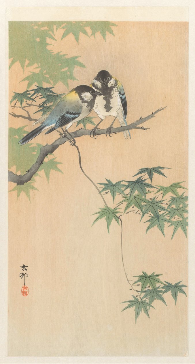 Nagy mellek juhar ágon alkotó: Ohara Koson