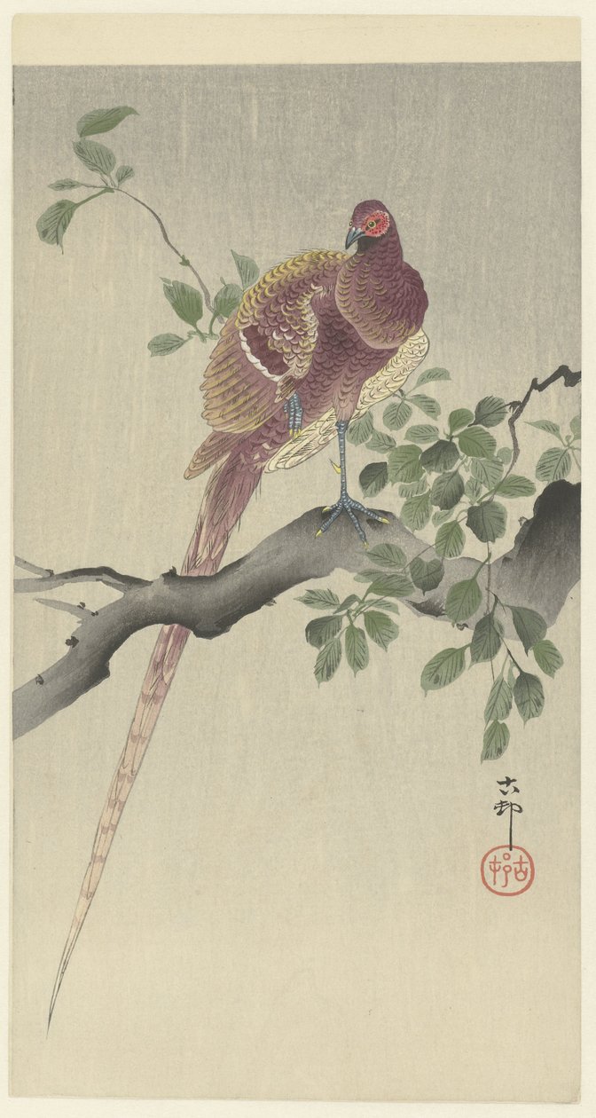 koperfazáns alkotó: Ohara Koson