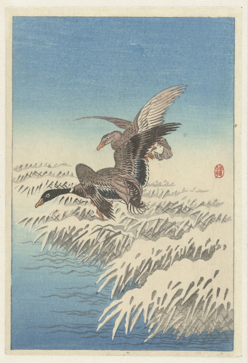 Havas nádgallér felett repülő kacsapár alkotó: Ohara Koson