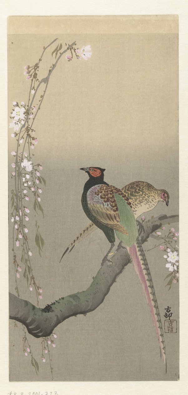 Fácán pár és cseresznyevirág alkotó: Ohara Koson