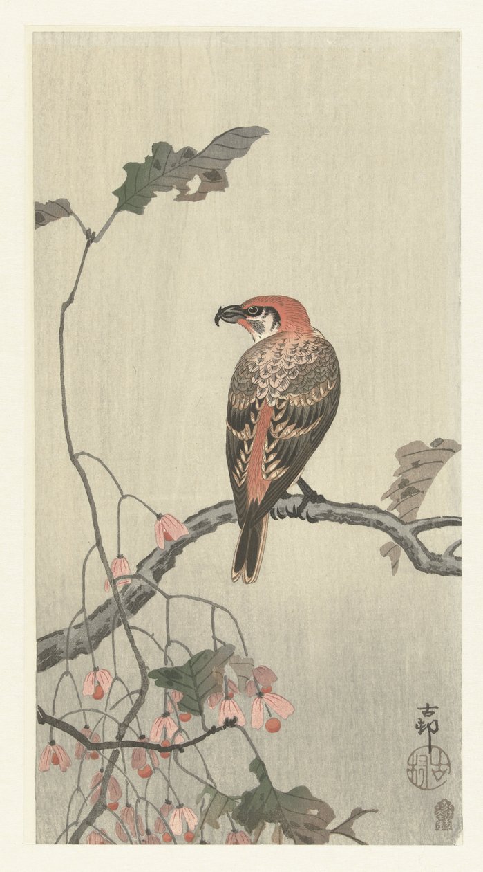 Keresztcsőrű a fa ága alkotó: Ohara Koson